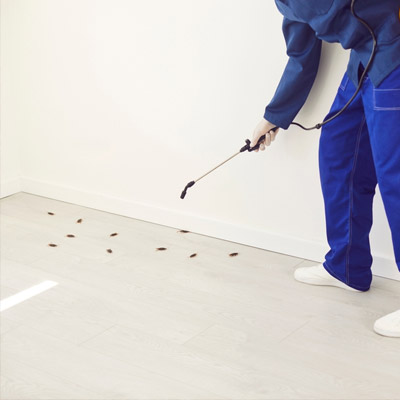 Pest Control